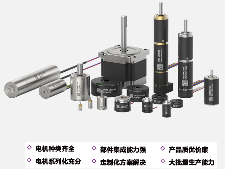 人形机器人电机_灵巧手空(kong)心杯电机定(ding)制-万至达电机